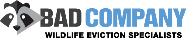 Bad Company Logo 600
